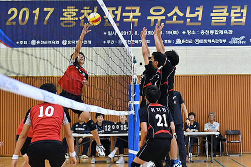 2017 홍천 전국 유소년 클럽 배구대회 사진