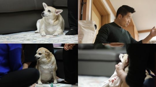 KBS2 ‘개는 훌륭하다’ 스틸컷