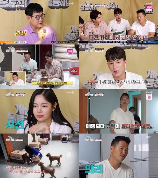 KBS2 ‘개는 훌륭하다’ 방송 화면.