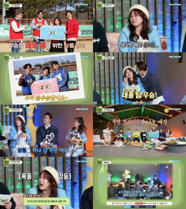 MBC에브리원 ‘두근두근 레이스-달려라 댕댕이’ 방송 화면
